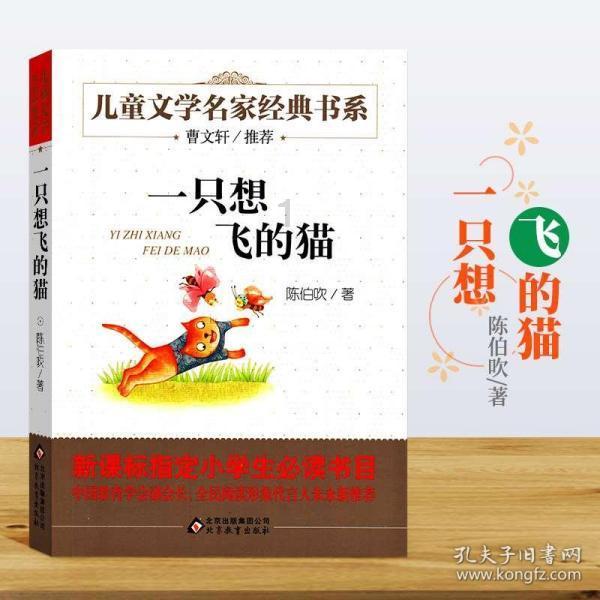 蒸汽时代的公主